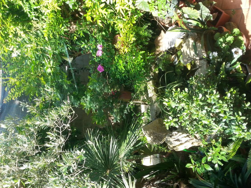 Bed & Breakfast Mare E Sole Brindisi